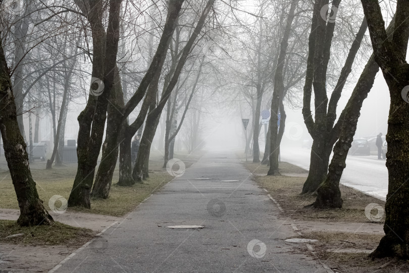 Скачать БЕЛАРУСЬ, НОВОПОЛОЦК - 06 марта 2020 года: Туман в городском парке фотосток Ozero