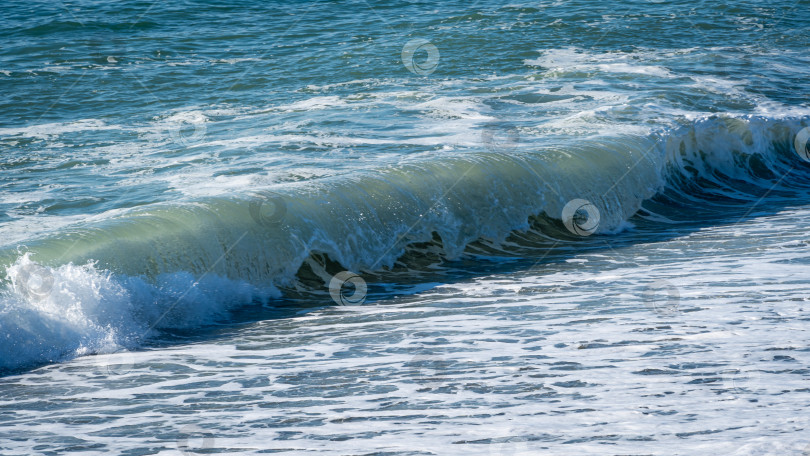 Скачать Сине-зеленые морские волны у берега. Крупный план. Вспененная морская вода в волнах традиционного цвета. Атмосфера спокойной безмятежности. Идеальный фон для темы релаксации. Элегантная концепция природы для дизайна. фотосток Ozero