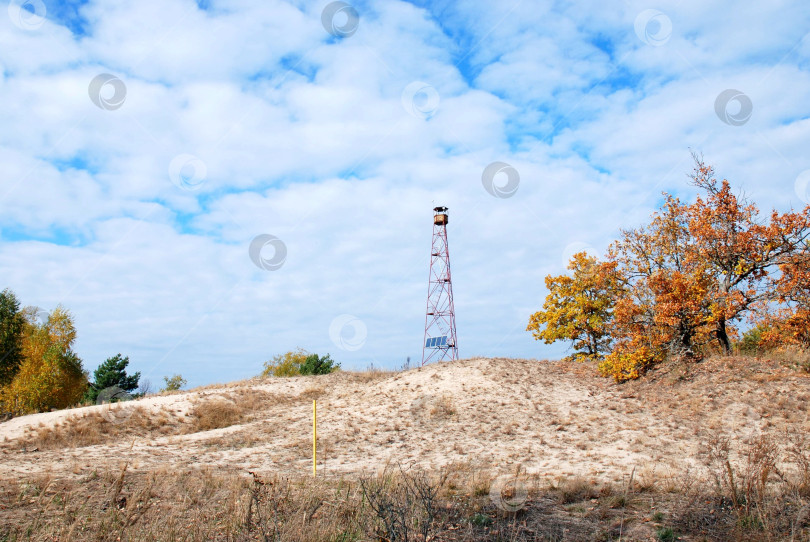 Скачать Чернобыль сегодня. Пожарная вышка. фотосток Ozero