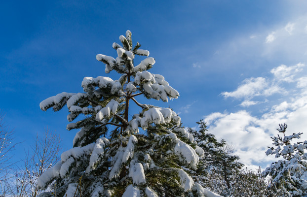 [object Object] undefined