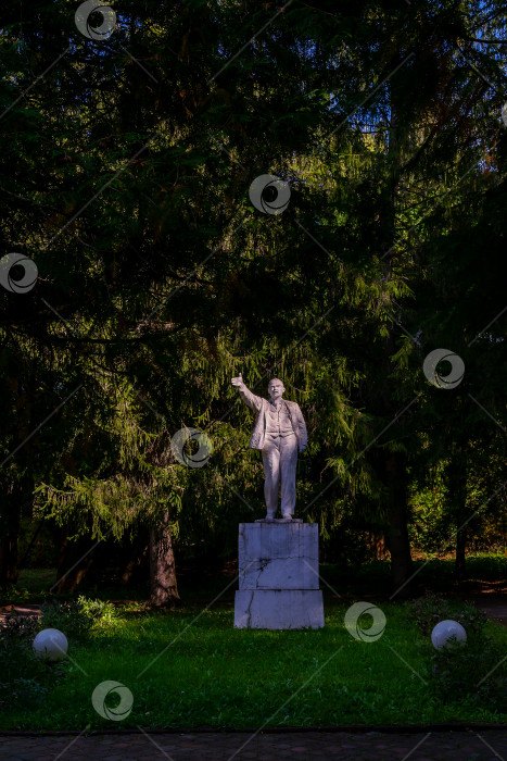 Скачать Памятник В. И. Ленину среди деревьев в парке пансионата. фотосток Ozero