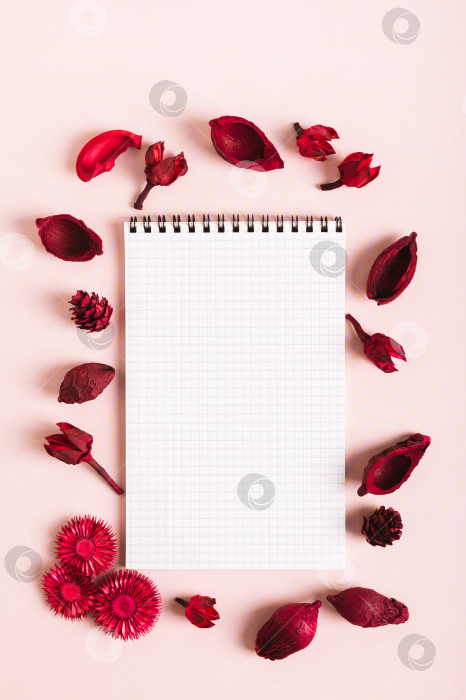 Скачать Блокнот для записей в рамке из засушенных красных цветов на розовом фоне вид сверху и по вертикали фотосток Ozero