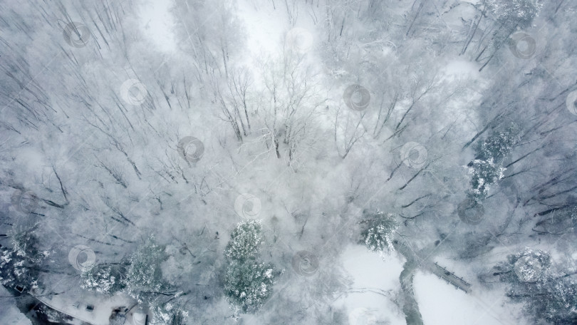 Скачать Зимний пейзаж фотосток Ozero