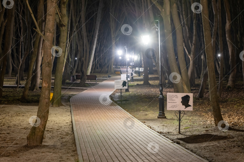 Скачать Литературная тропа в парке Беккера, Янтарный фотосток Ozero