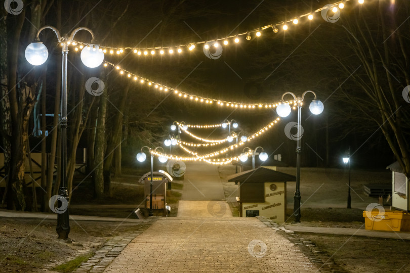 Скачать Центральный спуск к морю в парке Беккера, Янтарный фотосток Ozero