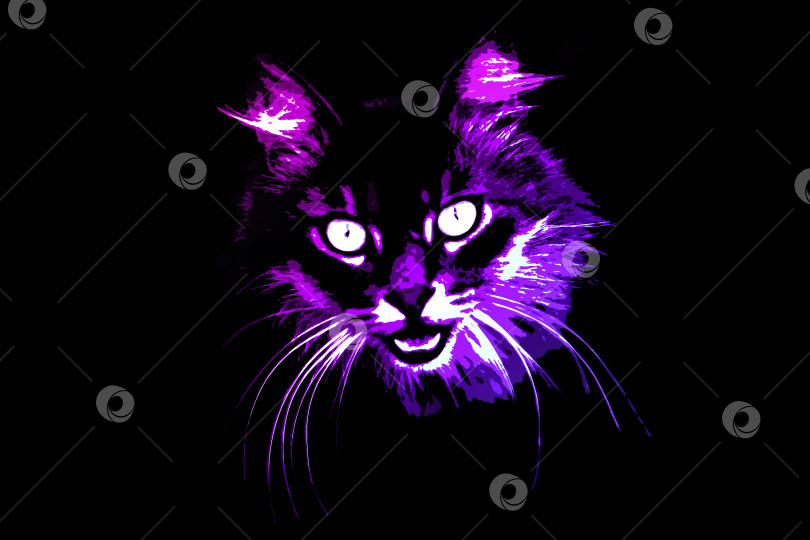 Скачать Фиолетовая морда разъяренной кошки на черном фоне фотосток Ozero