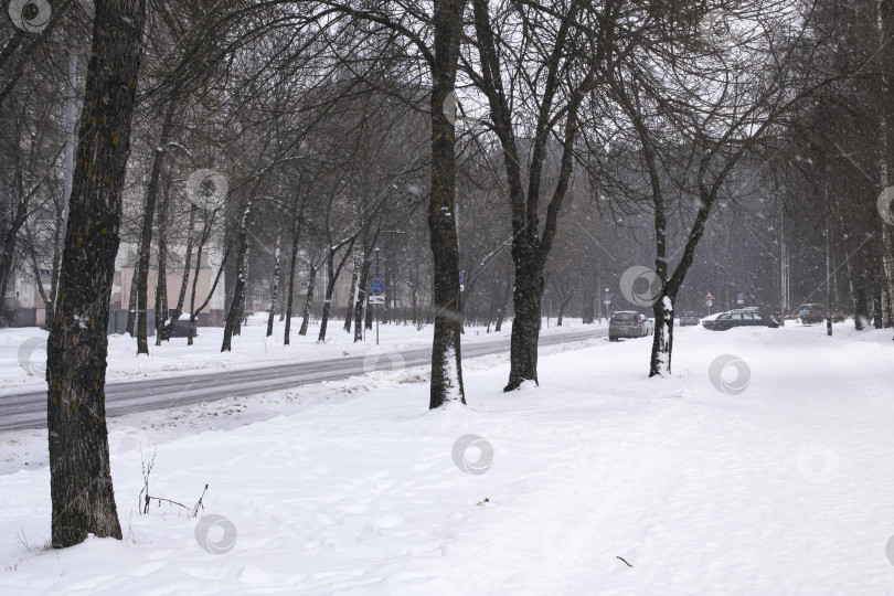 Скачать Дорога и деревья в снегу в городе фотосток Ozero