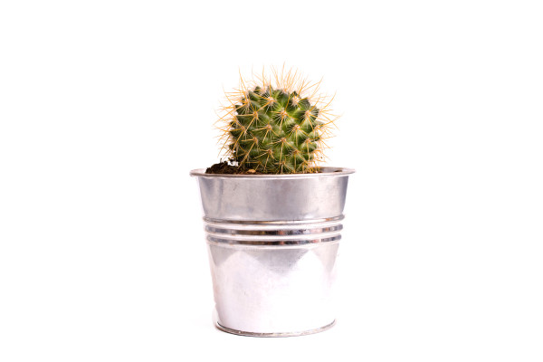 [object Object] undefined