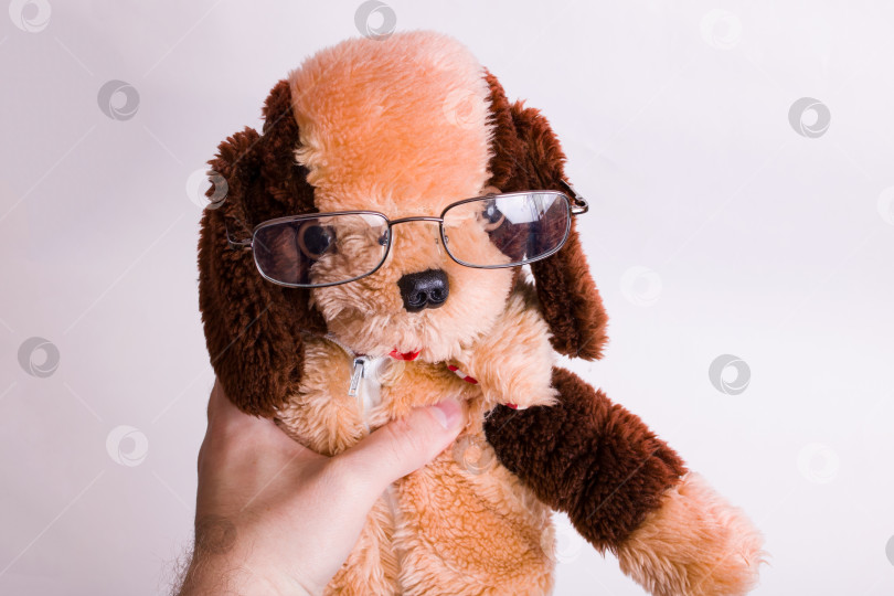 Скачать Рука, держащая плюшевую игрушку в очках фотосток Ozero