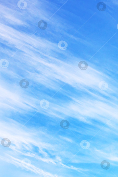 Скачать Высокие облака в голубом небе, фон фотосток Ozero
