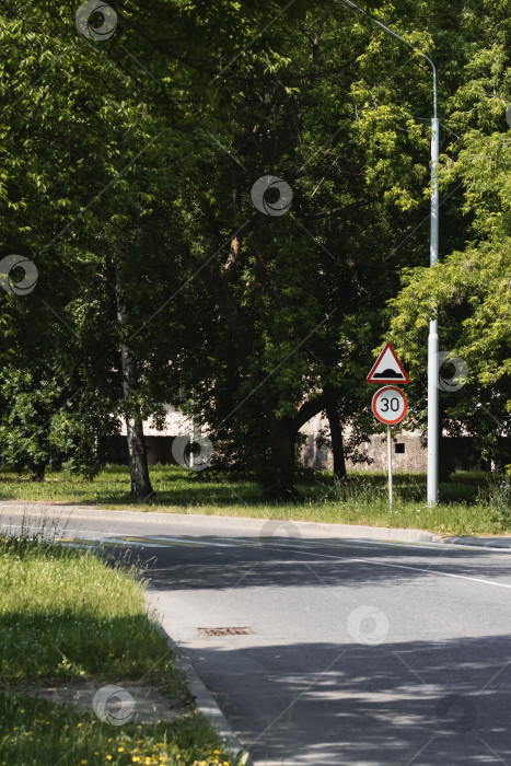 Скачать Знак пешеходного перехода на дороге среди зеленого леса летом фотосток Ozero