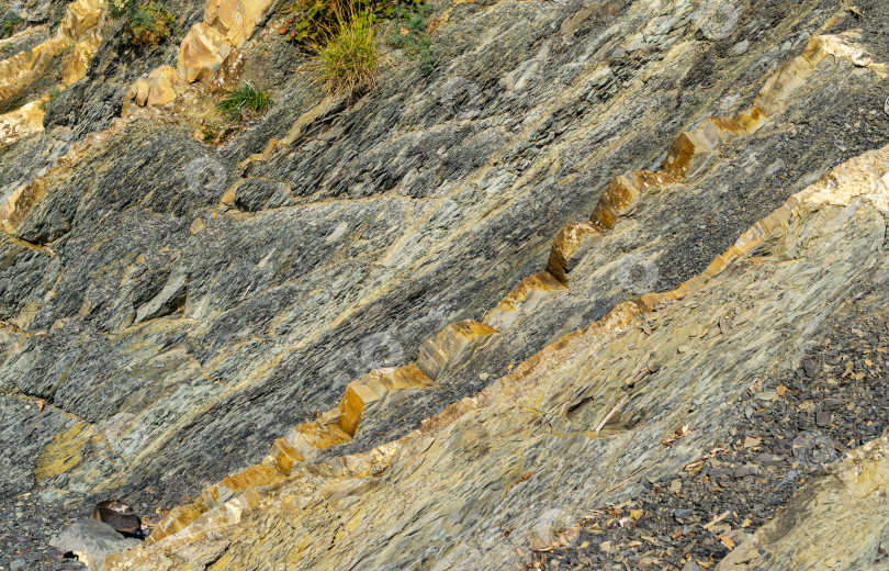 Скачать Полосатая естественная текстура камней и фрагментов горных пород в горах Кавказа на побережье Черного моря в Ольгинке в качестве оригинального текстурного фона. Камень коричневого, желтого, серого цветов. Концепция природы для дизайна фотосток Ozero