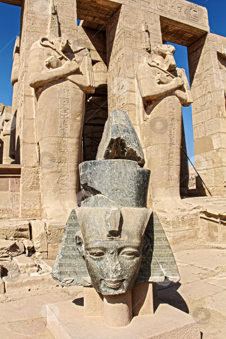 Скачать Статуя Рамзеса II. В окрестностях Рамессеума. Египет. фотосток Ozero