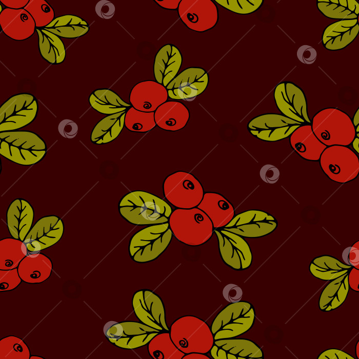 Скачать Клюква или брусника с листьями на бордовом фоне фотосток Ozero