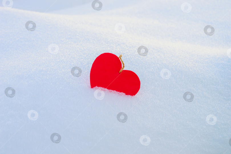 Скачать Красное сердечко в снегу, в сугробе, зимой, днем. Место для текста. фотосток Ozero