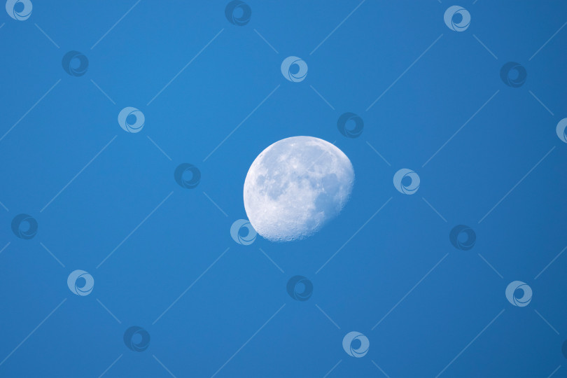 Скачать Крупным планом белая луна в вечернем голубом небе. фотосток Ozero