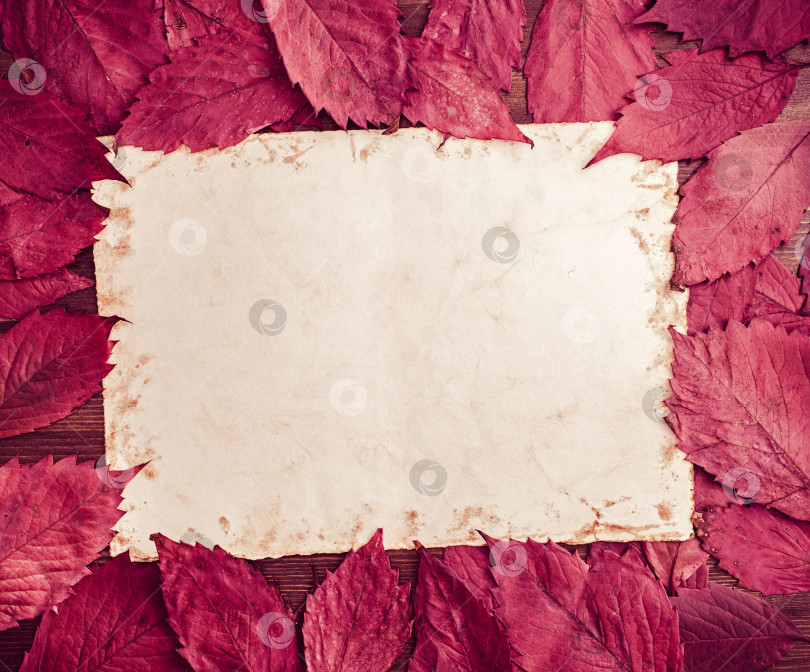 Скачать Осенние красные листья вокруг винтажной открытки фотосток Ozero