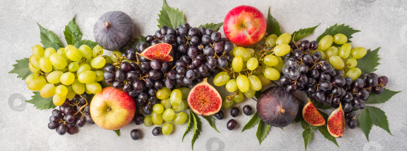 Скачать Баннер из свежих осенних фруктов. Виноград черный и зеленый, инжир и листья на сером столе. фотосток Ozero