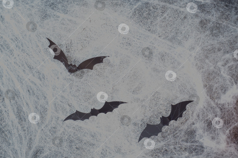 Скачать Концепция Хэллоуина. черные бумажные летучие мыши на темном фоне, покрытые паутиной фотосток Ozero