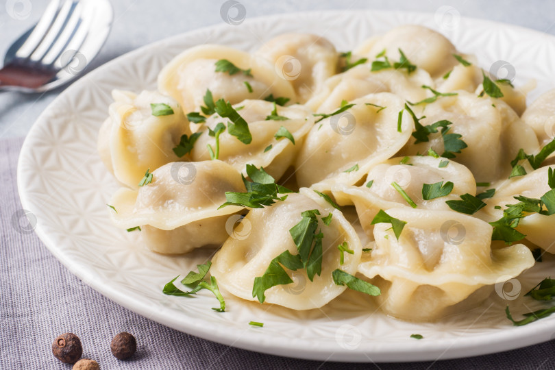 Скачать Традиционные пельмени, равиоли, вареники с мясной начинкой на тарелке, русская кухня фотосток Ozero