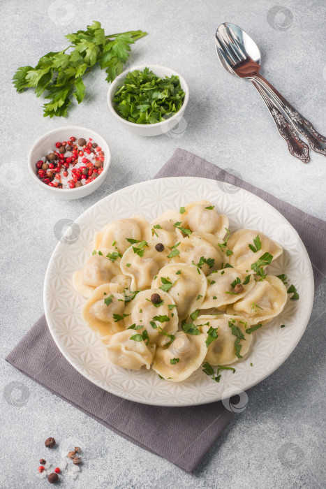 Скачать Традиционные пельмени, равиоли, вареники с мясной начинкой на тарелке, русская кухня фотосток Ozero