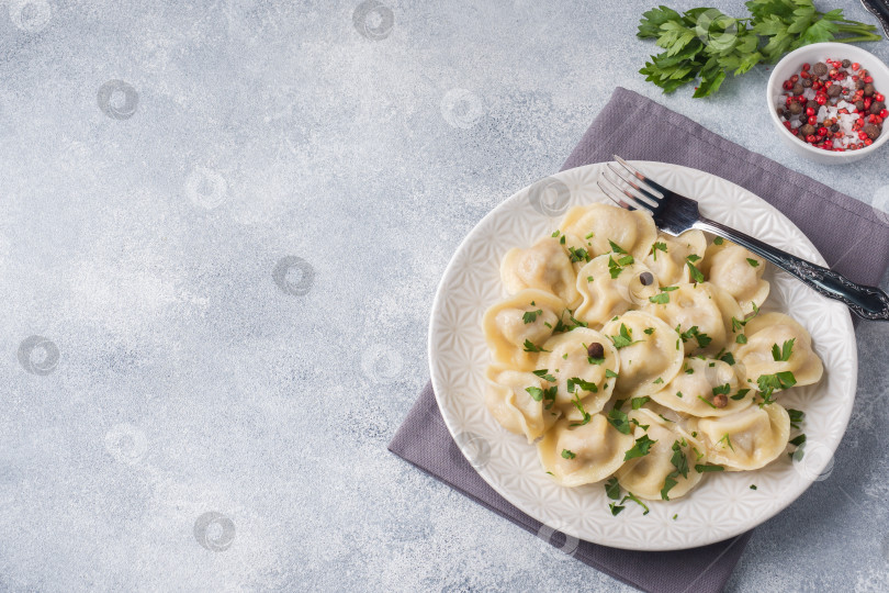 Скачать Традиционные пельмени, равиоли, вареники с мясной начинкой на тарелке, русская кухня. Место для копирования. фотосток Ozero