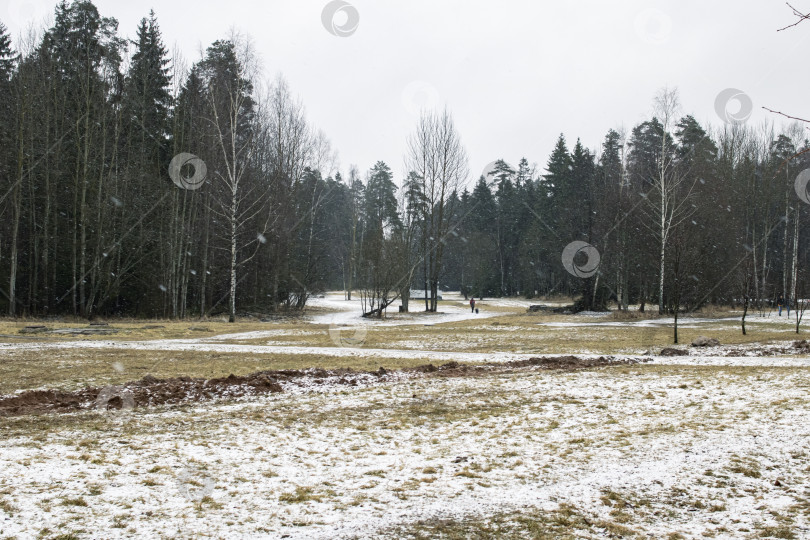 Скачать Поле и лес покрыты снегом фотосток Ozero