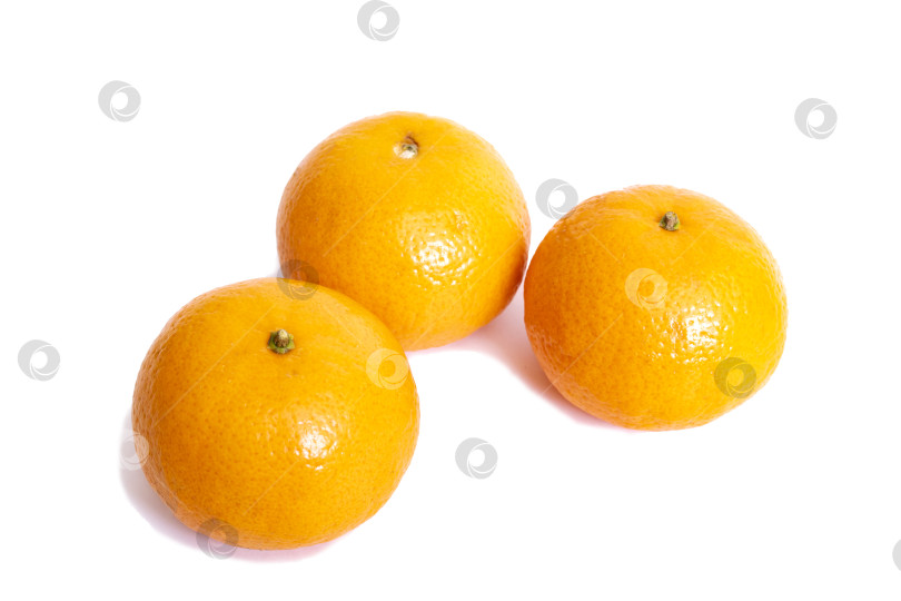 Скачать Три желтых мандарина, выделенных на белом фоне фотосток Ozero