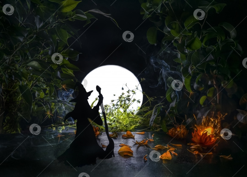 Скачать Ведьма с метлой в волшебном саду. Силуэт в лунном свете. фотосток Ozero