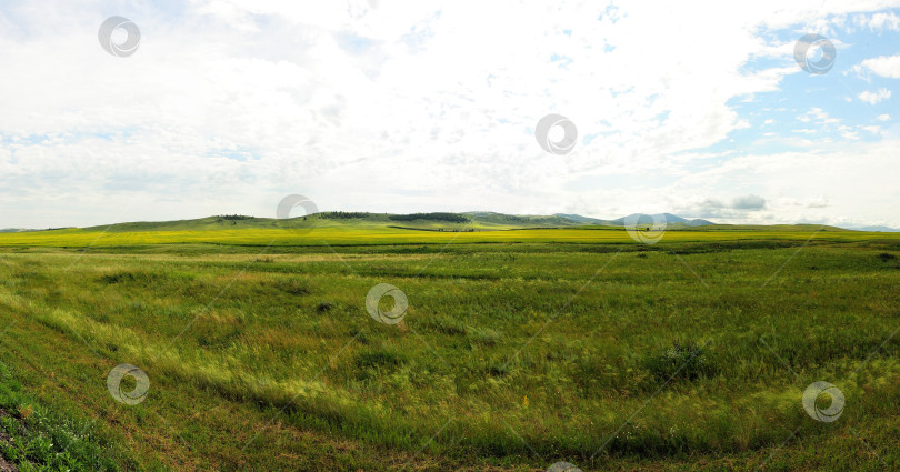 Скачать Панорамный снимок бескрайней травянистой степи у подножия высокого горного хребта под облачным летним небом. фотосток Ozero