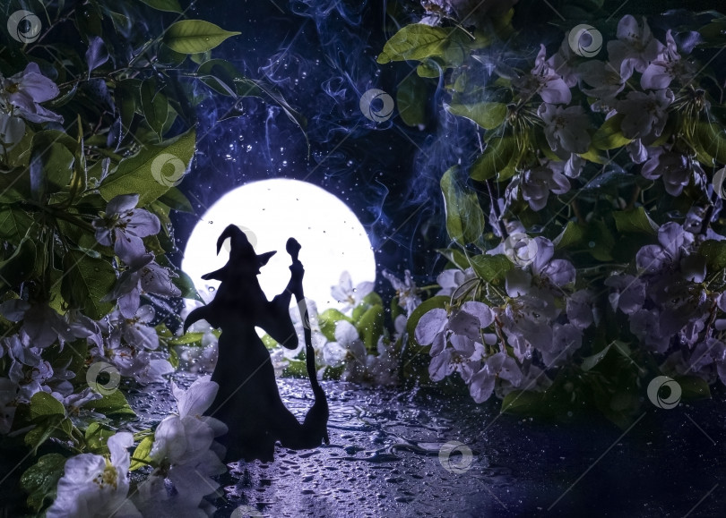 Скачать Ведьма с метлой в волшебном яблоневом саду. Силуэт в лунном свете. фотосток Ozero