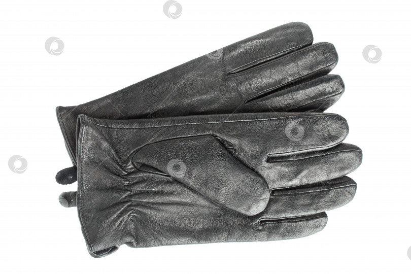 Скачать Изолированные черные кожаные перчатки фотосток Ozero