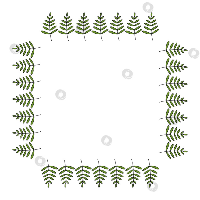 Скачать Квадратная рамка с чудесными вертикальными зелеными ветвями на белом фоне. Векторное изображение. фотосток Ozero
