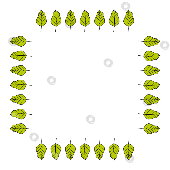 Скачать Квадратная рамка с чудесными ярко-зелеными листьями на белом фоне. Векторное изображение. фотосток Ozero