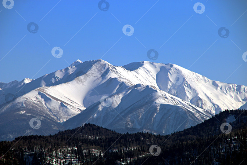 Скачать Горные вершины Лагонаки, Адыгея. Россия фотосток Ozero