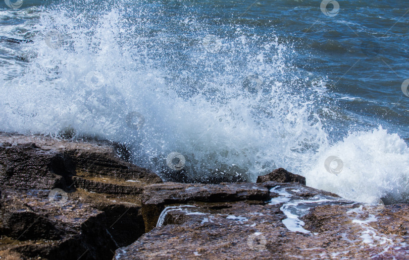 Скачать Шторм на морском побережье летом. фотосток Ozero