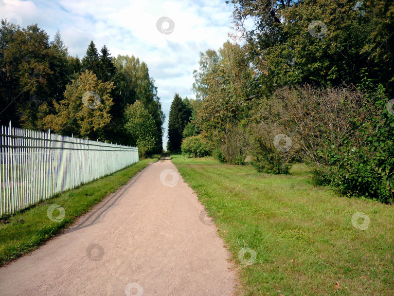 Скачать Тропинка в парке фотосток Ozero