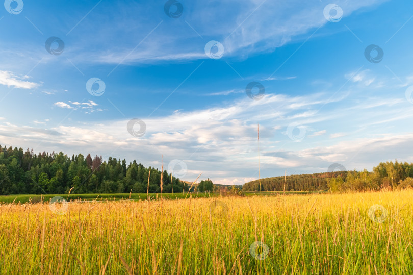 Скачать Красивый осенний пейзаж с лугами, лесами, дорогим и красивым голубым небом с облаками. фотосток Ozero