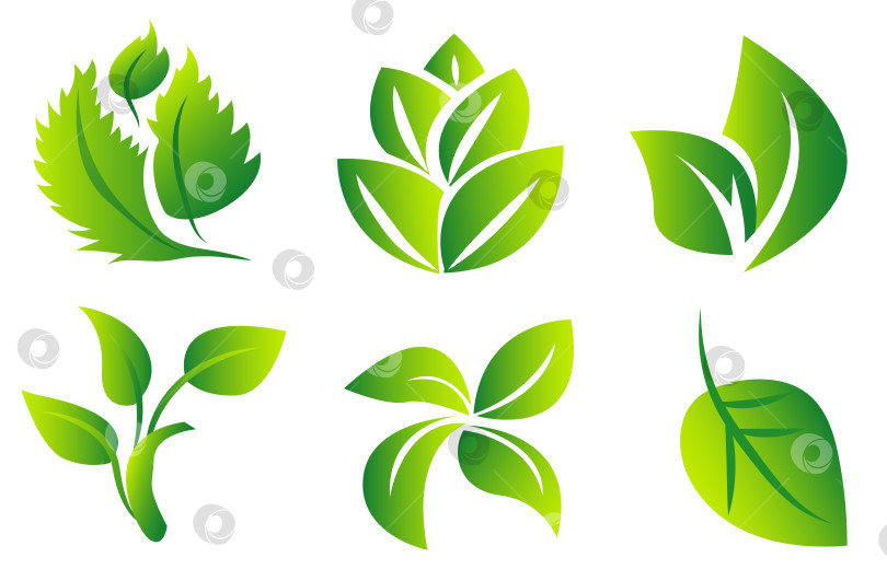 Скачать Набор зеленых листьев на белом фоне, для логотипов, дизайнов, для символики зеленой планеты фотосток Ozero