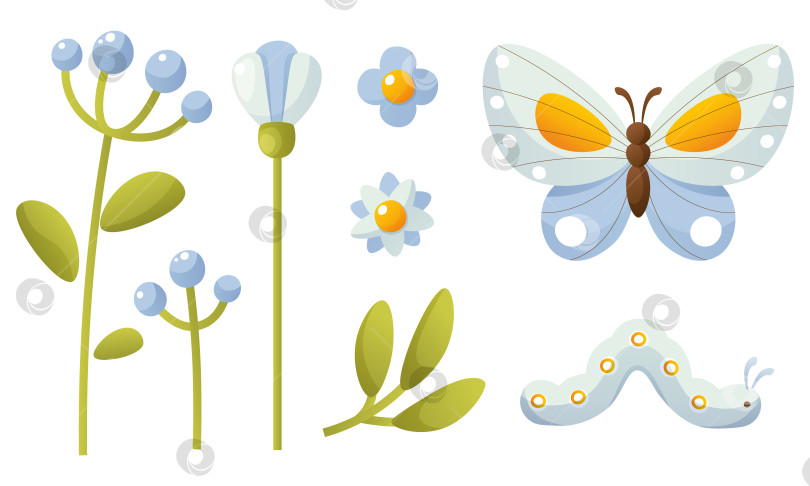 Скачать Голубые, голубоватые цветы, зеленые листья, голубая бабочка и гусеница. Летние цветы и насекомые фотосток Ozero