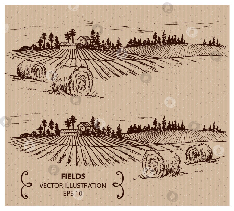 Скачать Фермерское хозяйство, поле и урожай, рисунок от руки фотосток Ozero