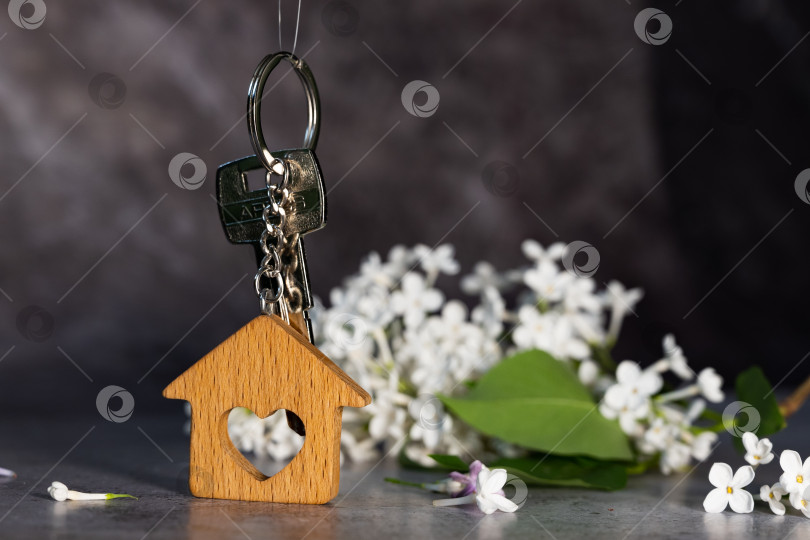 Скачать Крупный план ключей и брелка в виде домика на фоне сирени, символа семейного очага и собственного жилища. Покупка недвижимости. фотосток Ozero