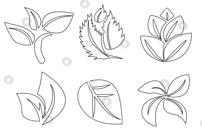 Скачать Векторная иллюстрация, представляющая коллекцию из шести различных черно-белых рисунков листьев, идеально подходящих для графики на весеннюю тематику фотосток Ozero