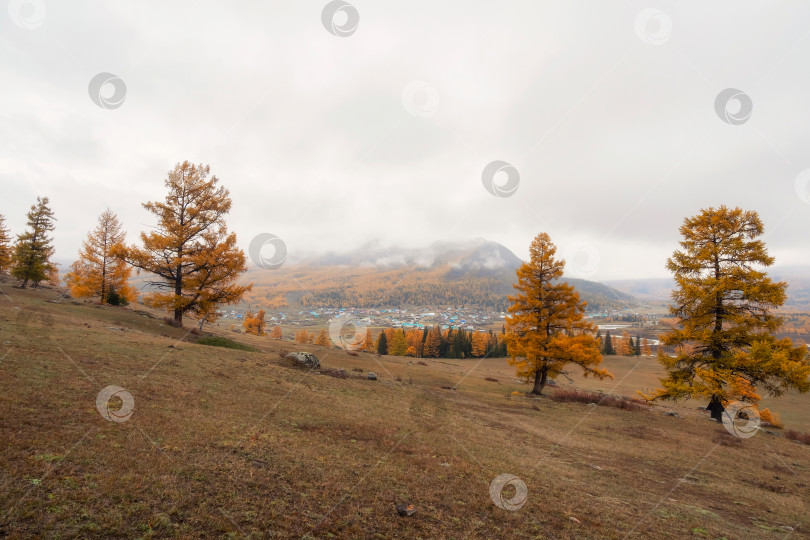 Скачать осенний пейзаж туманного утра в деревне фотосток Ozero