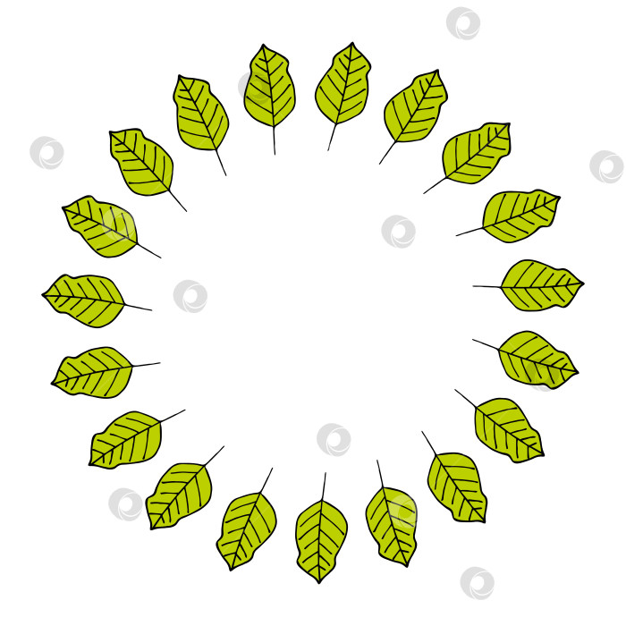 Скачать Круглая рамка с чудесными ярко-зелеными листьями на белом фоне. Векторное изображение. фотосток Ozero