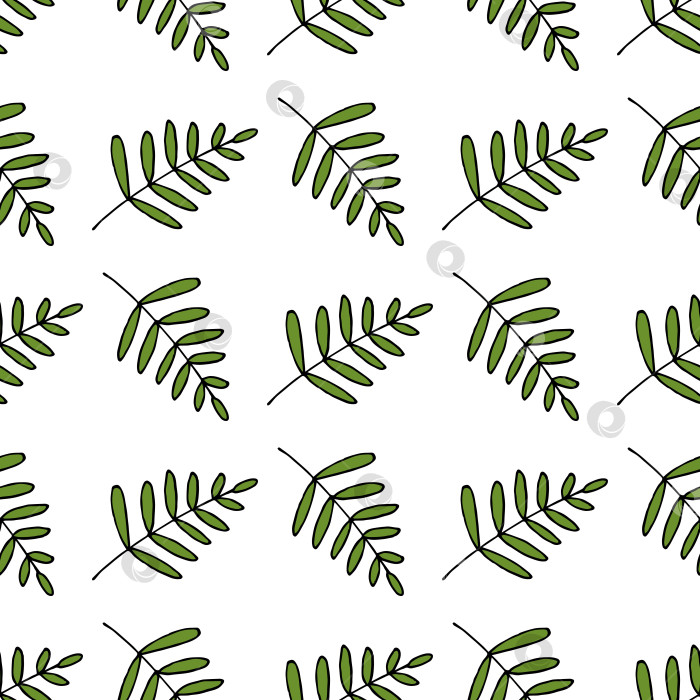 Скачать Бесшовный узор из чудесных зеленых ветвей на белом фоне. Векторное изображение. фотосток Ozero