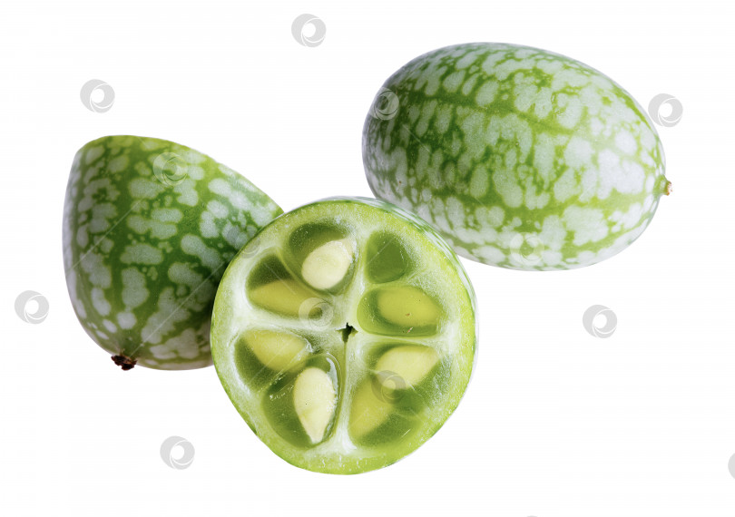 Скачать Cucamelon или Melothria scabra, выделенные на белом фотосток Ozero