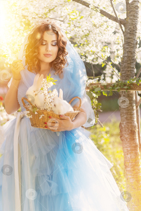 Скачать Красивая девушка в голубом платье с декоративным белым кроликом на фоне цветущей яблони. фотосток Ozero
