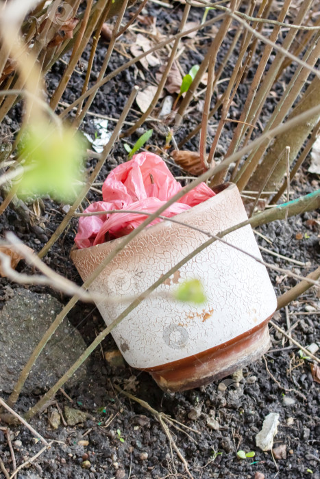 Скачать Старый цветочный горшок лежит рядом с кустом фотосток Ozero