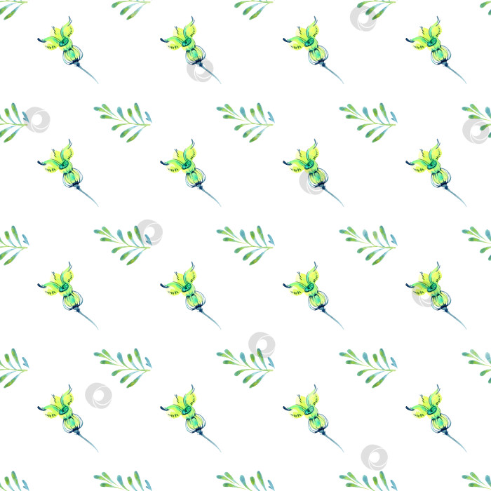 Скачать узор из цветов и листьев на белом фоне фотосток Ozero